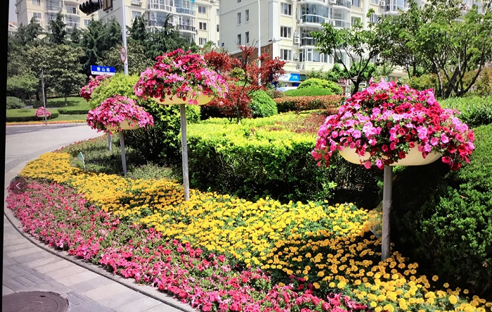 道路景觀提升綠化