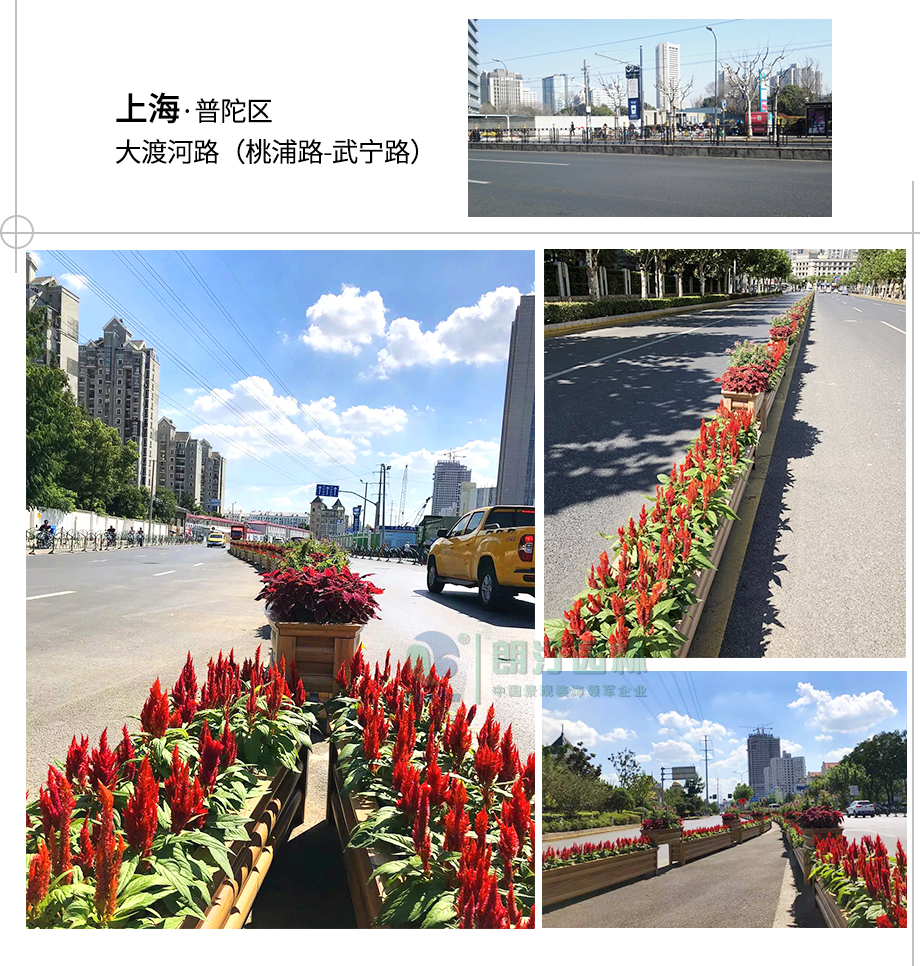 上海普陀區(qū)大渡河路道路隔離