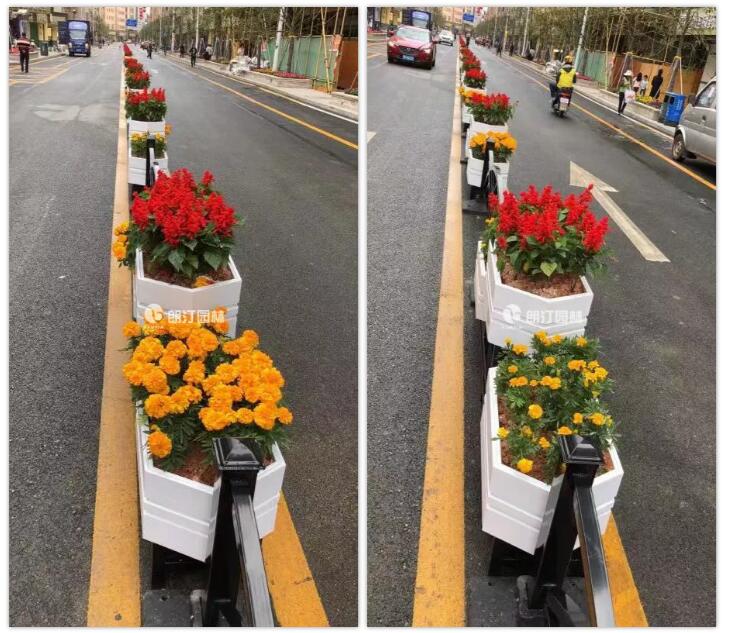 花箱道路隔離美化城市