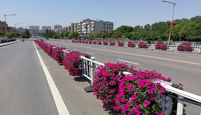 朗汀園林花箱，還未來(lái)一片藍(lán)天