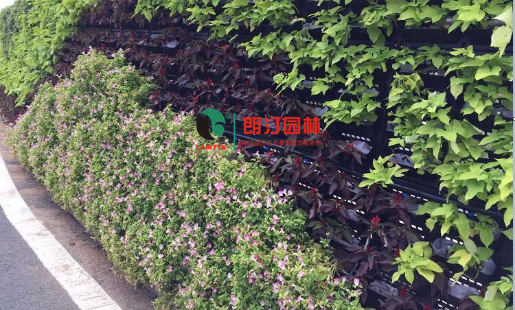 廈門金磚會(huì)議植物墻案例