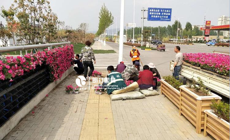 河南平頂山植物墻綠化景觀工程案例