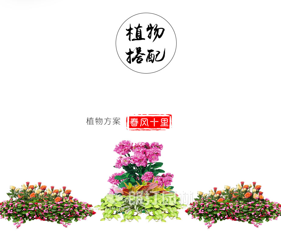 全鋁合花箱