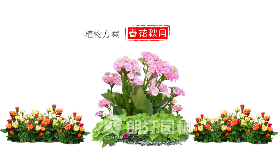 朗汀園林2019新款花箱