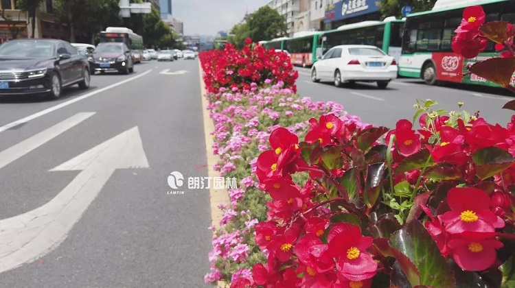 朗汀園林馬槽花箱打造出春城飛花的美麗景觀