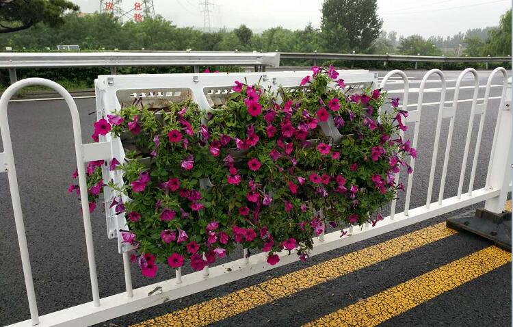 道路中央隔離護(hù)欄掛花花盆