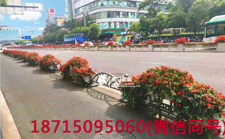 昆明北京路道路綠化花箱