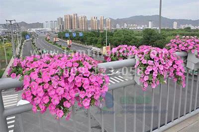 高架橋綠化花盆