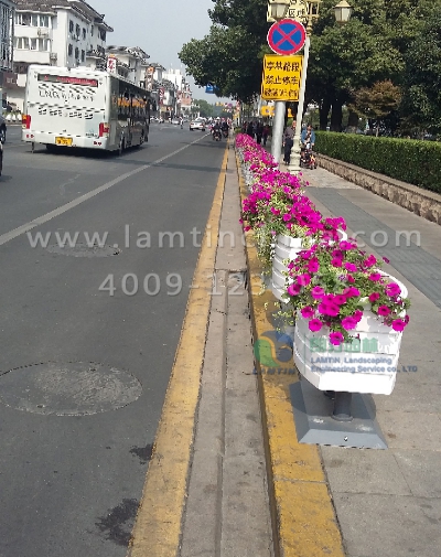 道路隔離花箱